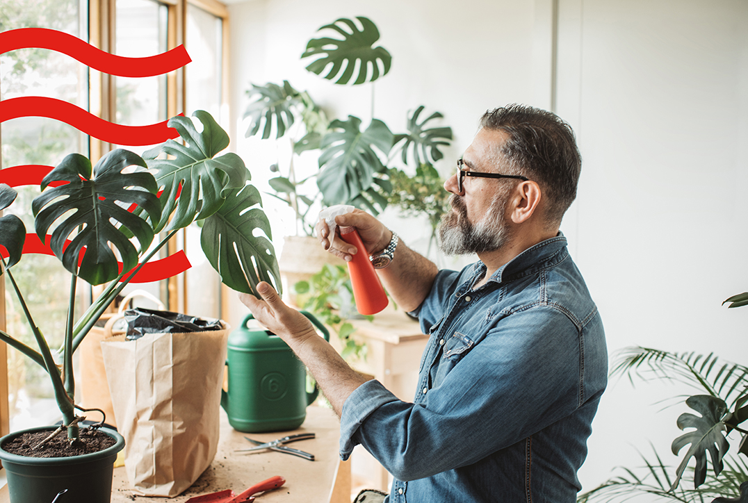 man watering plant